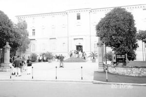 Picture3